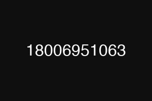 18006951063