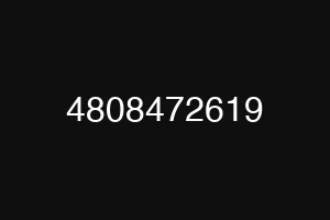 4808472619
