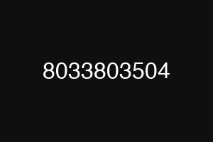8033803504