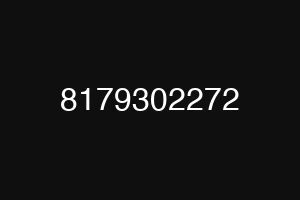 8179302272