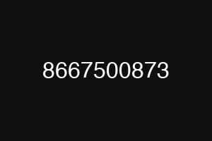 8667500873