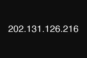 202.131.126.216