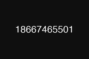 18667465501