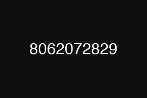 8062072829
