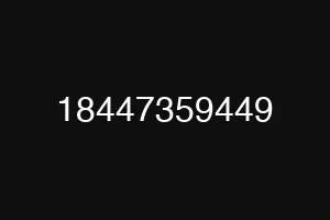 18447359449