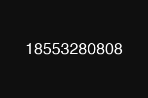 18553280808
