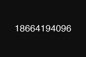 18664194096
