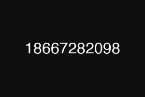 18667282098