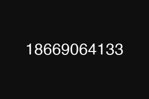 18669064133