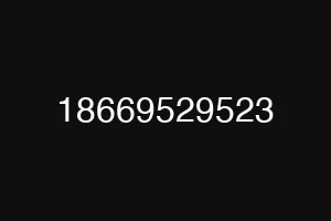 18669529523