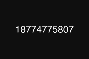 18774775807