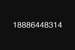 18886448314