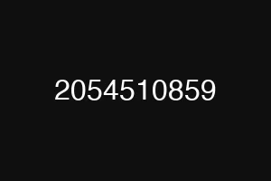 2054510859