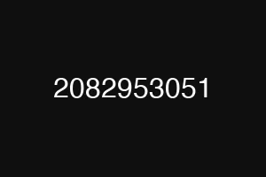 2082953051