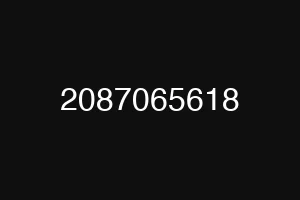 2087065618