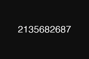 2135682687