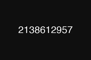 2138612957