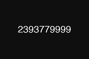2393779999