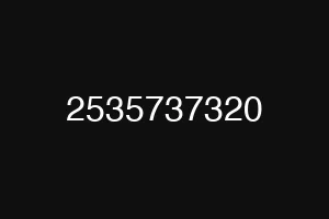 2535737320