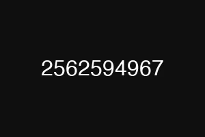 2562594967