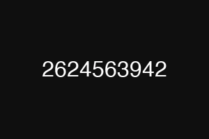 2624563942