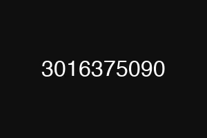 3016375090