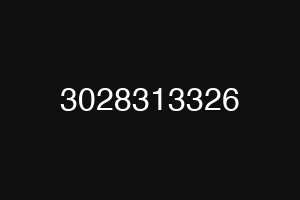 3028313326