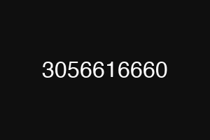 3056616660