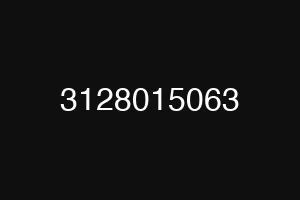 3128015063