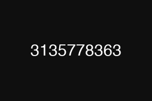 3135778363