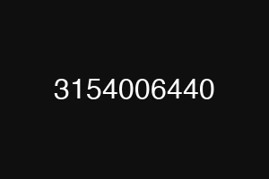 3154006440