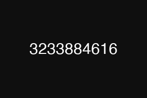 3233884616