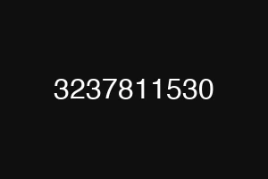 3237811530