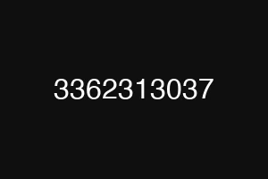 3362313037