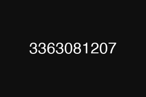 3363081207