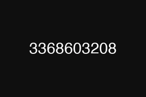 3368603208