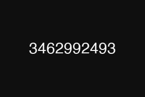 3462992493