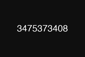 3475373408