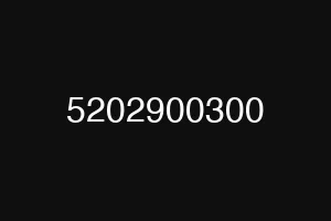 5202900300