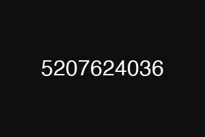 5207624036