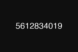 5612834019