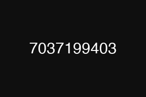 7037199403