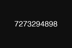 7273294898