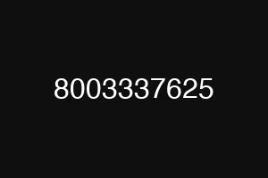 8003337625
