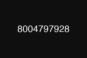 8004797928