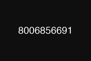 8006856691