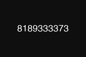 8189333373