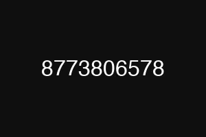 8773806578
