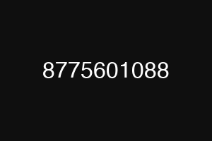 8775601088