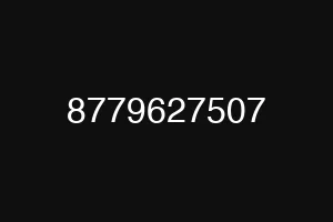 8779627507